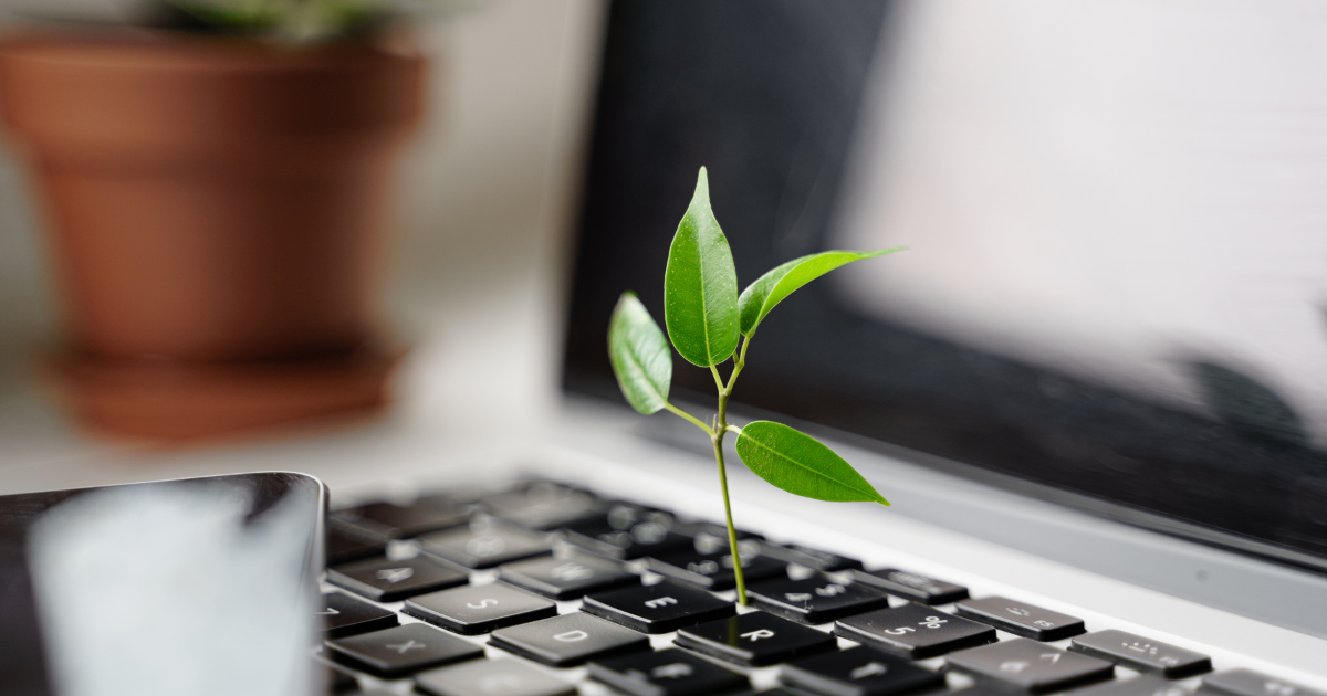 Ecommerce Trends in 2025: Building a Greener Future with Sustainable Practices